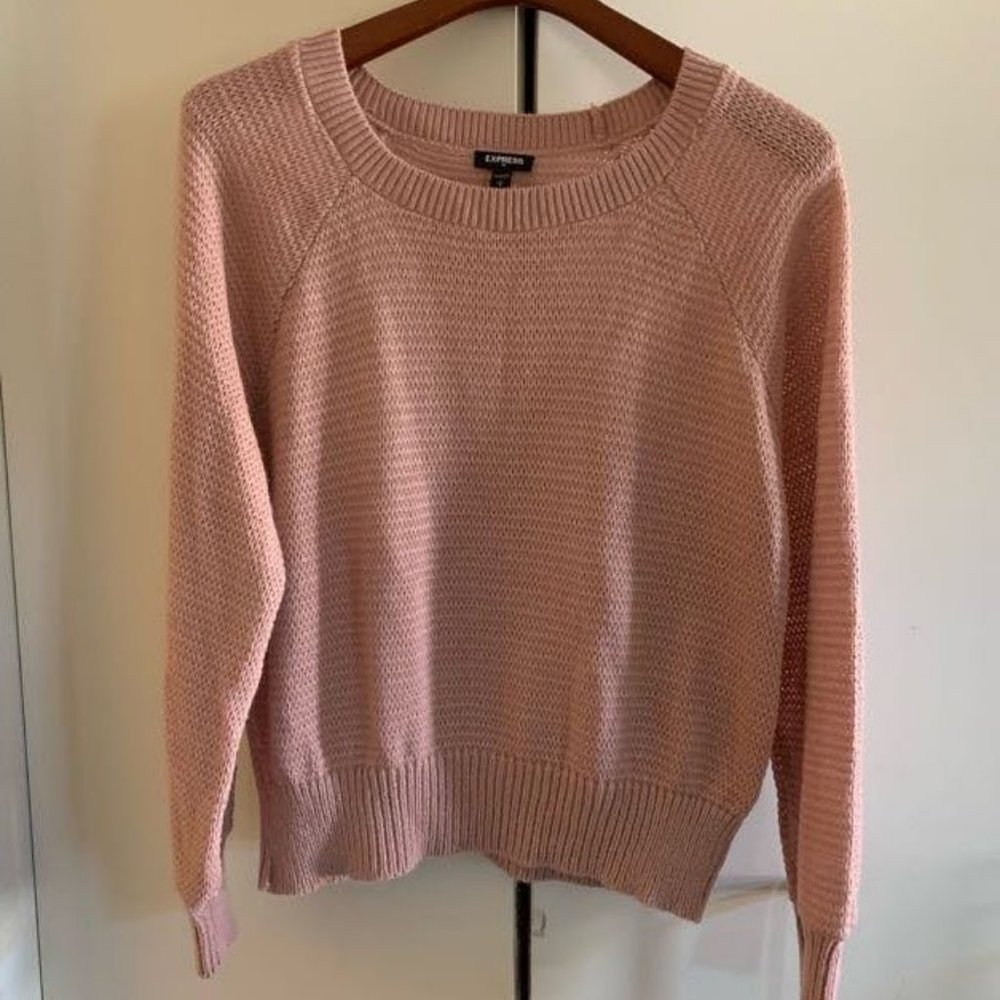 Pink Express Sweater Small